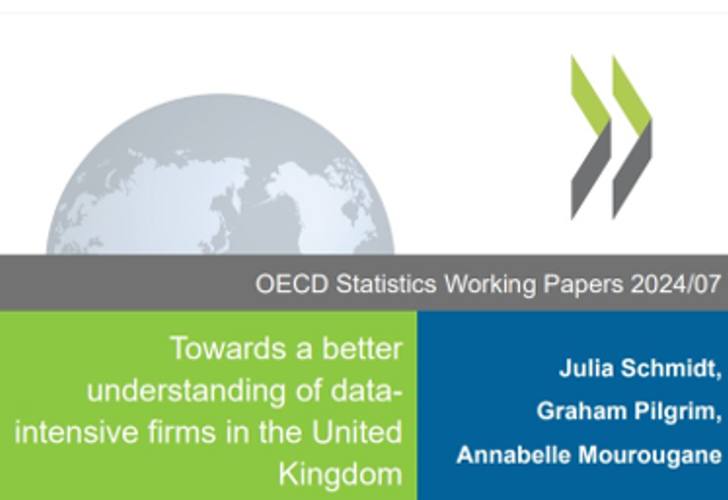 ОЕСР: НА ШЛЯХУ ДО КРАЩОГО РОЗУМІННЯ ФІРМ, ЩО ВИКОРИСТОВУЮТЬ ДАНІ