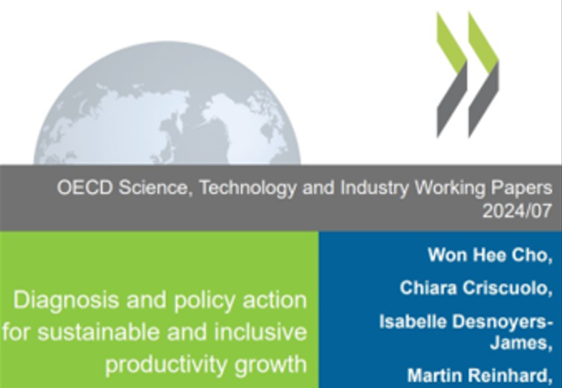 ОЕСР: ДІАГНОСТИКА ТА ПОЛІТИЧНІ ДІЇ ДЛЯ СТАЛОГО ТА ІНКЛЮЗИВНОГО ЗРОСТАННЯ ПРОДУКТИВНОСТІ