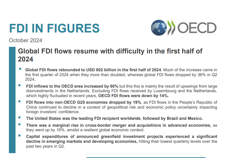 ОЕСР: ПРЯМІ ІНОЗЕМНІ ІНВЕСТИЦІЇ У 2024 РОЦІ
