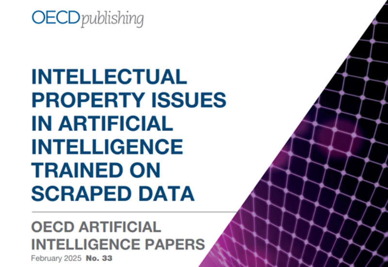 ОЕСР: ПРОБЛЕМИ ІНТЕЛЕКТУАЛЬНОЇ ВЛАСНОСТІ У ГАЛУЗІ НАВЧАННЯ  ШТУЧНОГО ІНТЕЛЕКТУ