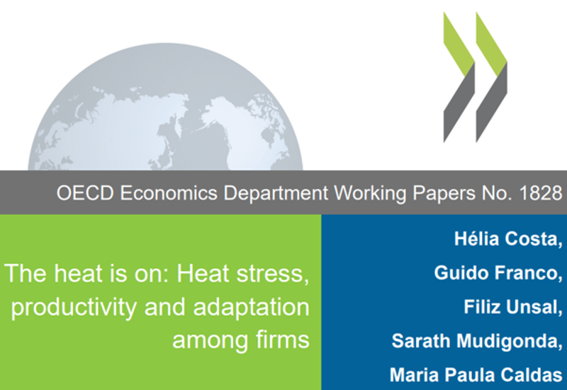 ОЕСР: ГЛОБАЛЬНЕ ПІДВИЩЕННЯ ТЕМПЕРАТУРИ, ПРОДУКТИВНІСТЬ ТА АДАПТАЦІЯ КОМПАНІЙ