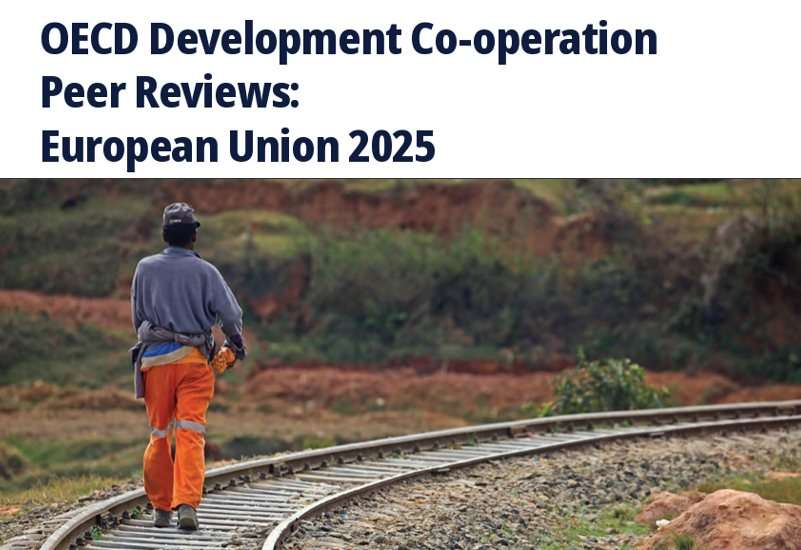 ОЕСР: СПІВРОБІТНИЦТВО В ГАЛУЗІ РОЗВИТКУ -  2025
